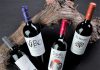 Viu Manent incorpora exclusivo tour del Malbec