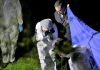 PDI investiga homicidio en sector oriente de Rancagua