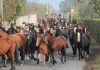 Municipio ofreció completo operativo veterinario a caballos rescatados de la cordillera en Graneros