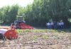 Quema de rastrojo de maíz una negativa práctica agrícola que tiende a desaparecer