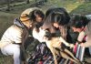 Llaman a tenencia responsable de mascotas en Graneros
