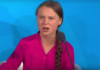 Greta Thunberg, desafiante ante la ONU: “Han robado mis sueños y mi infancia, ¿cómo se atreven?”