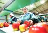 Trabajadores de industria frutícola reciben certificación del Estado de Chile