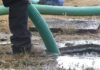 Cuatro regiones del sur del país podrían verse afectadas por una emergencia sanitaria