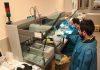 Últimos casos de Covid-19 se diagnosticaron en la Región