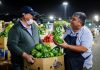 Pequeños agricultores continúan abasteciendo al país gracias a convenio Indap – Lo Valledor