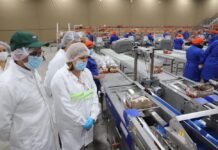 Carne para el 18: las enfermedades a las que se expone al comprar en lugares no autorizados