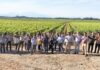 El valle del Cachapoal recibe a jurado del Concurso Catad’or Wine Awards