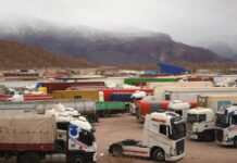 «Muchas pequeñas empresas ya no pueden seguir»: camioneros exigen medidas urgentes por alza del diésel