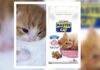 Master Cat presenta querella criminal por estafa tras detectar presunta adulteración en materia prima de la variedad gatitos