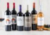 VIU MANENT celebra el mes del Malbec con entretenidas actividades para los amantes del vino