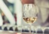 Día del Sauvignon Blanc: su historia y tres exponentes para celebrar por menos de $10.000