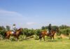 VIU MANENT invita a disfrutar las vacaciones de invierno en el Valle de Colchagua con actividades para toda la familia