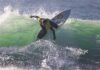 Primer torneo online de surf “Promesas Chile”