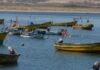 Organizaciones de pescadores artesanales podrán optar a fondo de gobierno para cubrir gastos básicos y operacionales