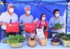 Productores de O’Higgins conmemoraron el Día Nacional de las Frutas y Verduras con una feria de hortalizas