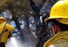 Temporada de Incendios forestales: Pronóstico complejo para la zona centro-sur
