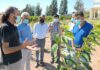 Gobernador Regional acuerda con futuro Ministro de Agricultura un trabajo colaborativo para apoyar a pequeña agricultura campesina