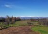 Alcalde de Rancagua y Diputada Sepúlveda buscan solución a escasez de agua en sector rural de la comuna