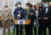 Ministerio de Agricultura declaró emergencia agrícola por plaga que afecta la producción de frutillas