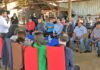Pequeños productores de tabaco de la zona central afectados por heladas reciben indemnizaciones por más de $950 millones