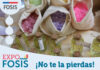 EXPO FOSIS Bucalemu reunirá lo mejor del emprendimiento regional