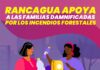 Municipio de Rancagua inicia campaña para ir en ayuda de familias afectadas por incendios forestales