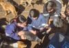 Estudiantes de Santo Tomás apoyaron a refugio de animales en Coltauco