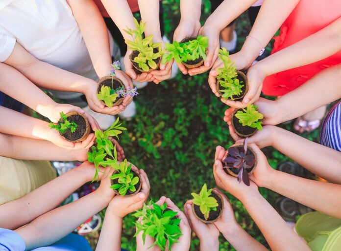 People Hands Cupping Plant Nurture Environmental