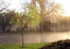 Pronostican primavera con lluvias y altas temperaturas, posible antesala de un verano con calor sin precedentes