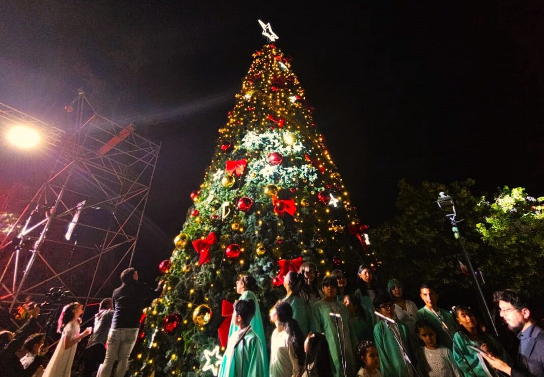 ARBOL3