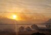 Balance de incendios forestales: Senapred informa de 10 siniestros importantes en todo el país