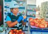 Se reabre mercado peruano para manzanas y carozos chilenos tras gestiones del SAG e implementación del sector privado