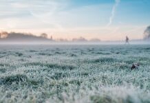 Mínimas bajo 0: emiten Advertencia Agrometeorológica desde Valparaíso al Biobio