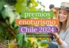 Extienden plazo postulación Premios Enoturismo Chile 2024