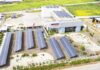 Energía y sustentabilidad: Agrosuper alcanza un 93% de su consumo eléctrico con energía limpia