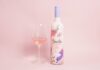 Viu Manent presenta su nuevo vino Secreto Rosé Grenache: Innovación y frescura para disfrutar este verano 2025