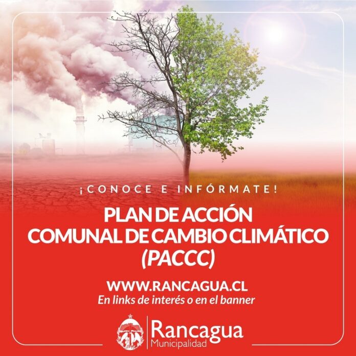 PLAN-ACCION