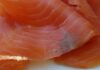 Seremi de Salud O’Higgins identifica presencia de listeria en salmón ahumado durante vigilancia alimentaria