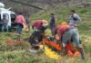 Rescatan con éxito a arriero accidentado al interior de Coya en Machalí