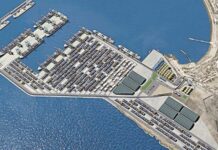 Puertos chilenos estrenan conexión directa con Asia y retan a Chancay: hay nuevo factor de competencia