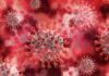 Supergripe: Llega a Chile el subclado K de influenza A(H3N2) y Minsal entrega guía de precauciones
