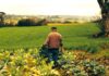 HortiCrece culmina su etapa como programa Corfo y evoluciona hacia el modelo cooperativo