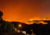 Conaf confirma 20 incendios forestales en combate: regiones de Ñuble y Bío Bío las más afectadas