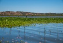 Día Mundial de los Humedales: experta UOH entrega seis recomendaciones para proteger estos ecosistemas clave