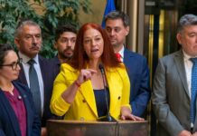 “Chile se está empobreciendo mientras el Gobierno sigue ausente frente a la crisis del empleo”, lo dijo Carolina Cucumides