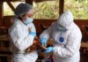 SAG logra en tiempo récord la reapertura de los principales mercados de productos avícolas tras foco de influenza aviar