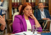 «Es un portazo a la salud pública»: Diputada Cucumides advierte preocupación por dictamen de Contraloría