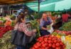 Alza de combustibles impactará en ferias libres: Anticipan aumento en papas, tomates, huevos y legumbres