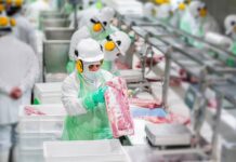 La brasileña Master Agroindustrial sella una alianza con Coexca S.A, abriendo una etapa de crecimiento de la empresa chilena